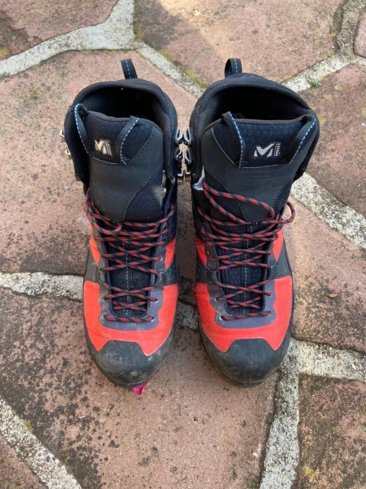 Millet Élévation 1 Millet Élévation