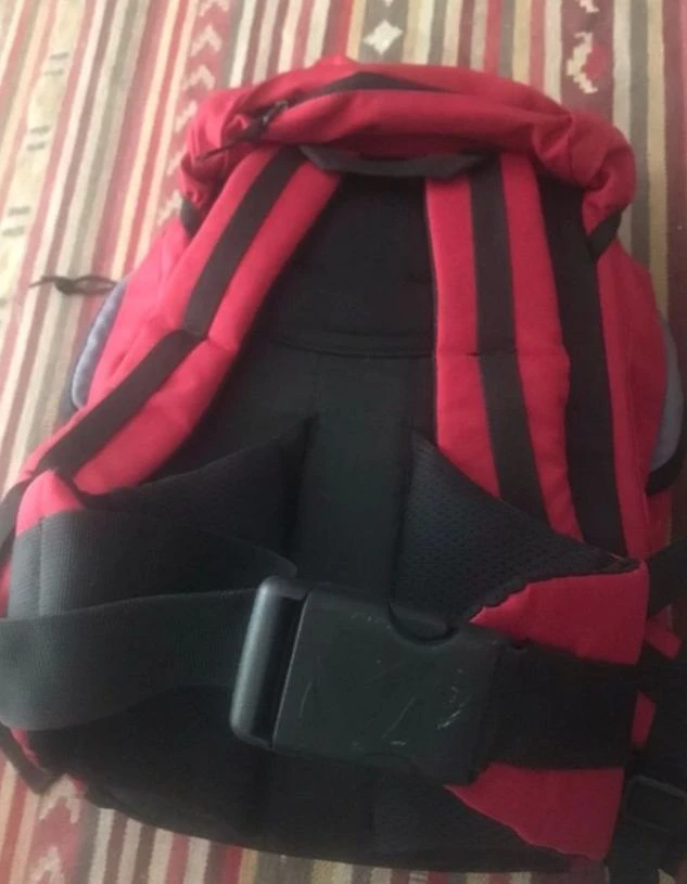 Millet Polyvalent 2 Millet Polyvalent – Image 2