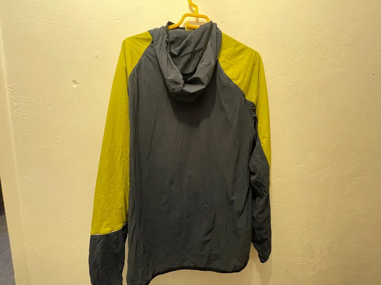 Millet Coolidge 2 Millet Coolidge – Image 2