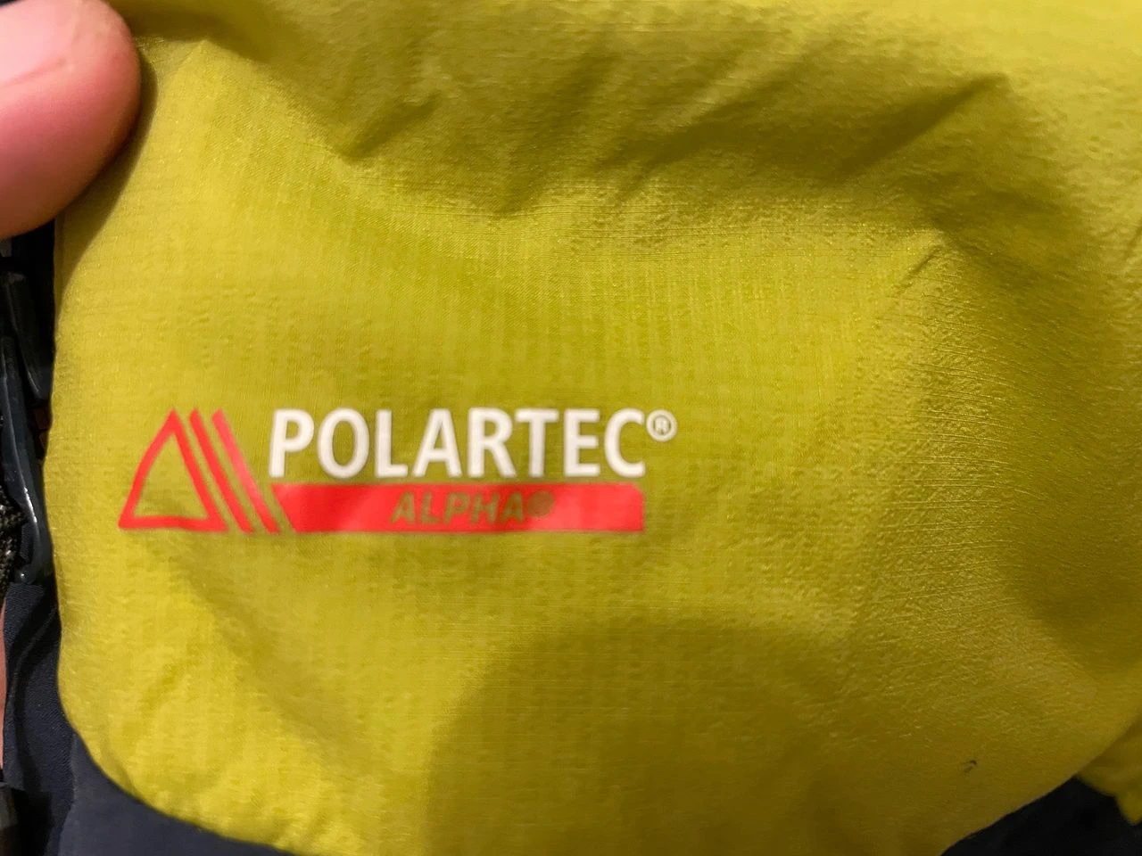 Millet Coolidge 3 Millet Coolidge – Image 3