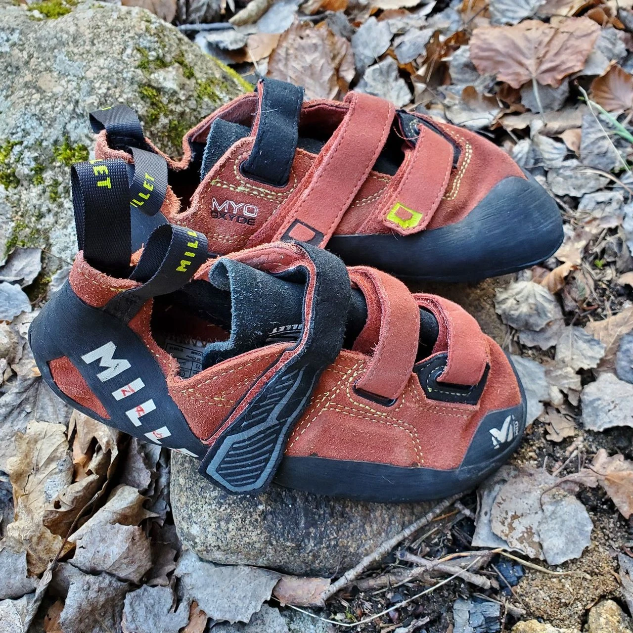 Millet MYO Oxyde 1 Millet MYO Oxyde